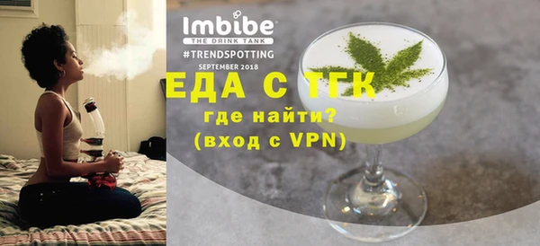 индика Верхний Тагил